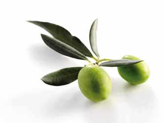 Olives de beaucaire